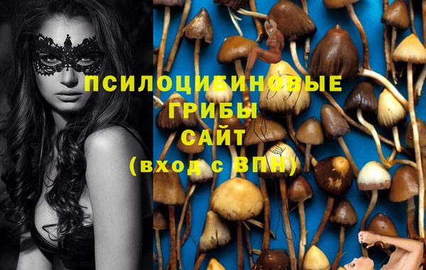 прущие крисы Алзамай
