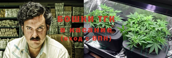 прущие крисы Алзамай
