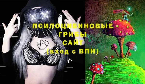 ешки Алексин
