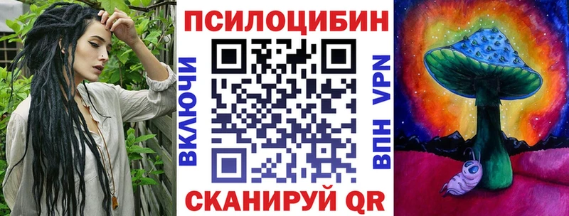 Псилоцибиновые грибы Cubensis  Николаевск 